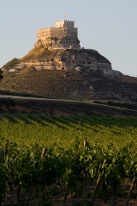 RiberaAreaBeautyShot The famous castle of Castille y Leon